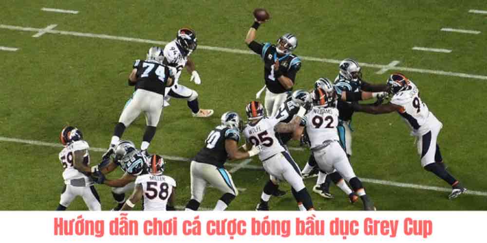 Hướng dẫn chơi cá cược bóng bầu dục Grey Cup